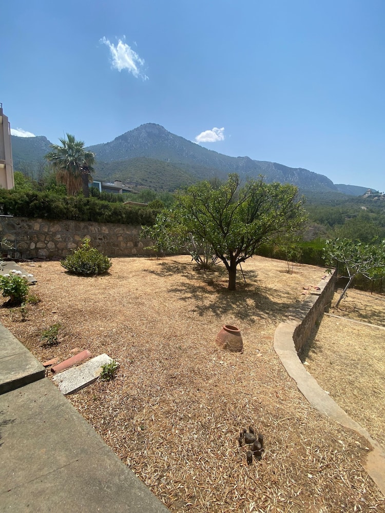 Photo 40