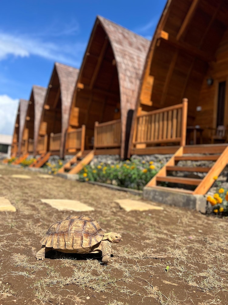 MR GLAMPING & VILLA