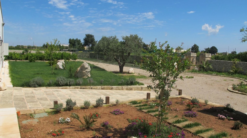 Photo 6