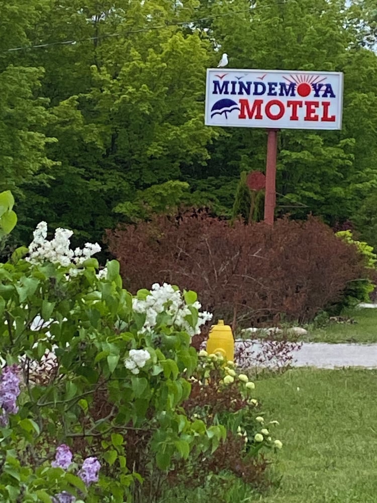 Mindemoya Motel