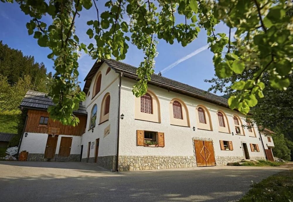 Photo 10