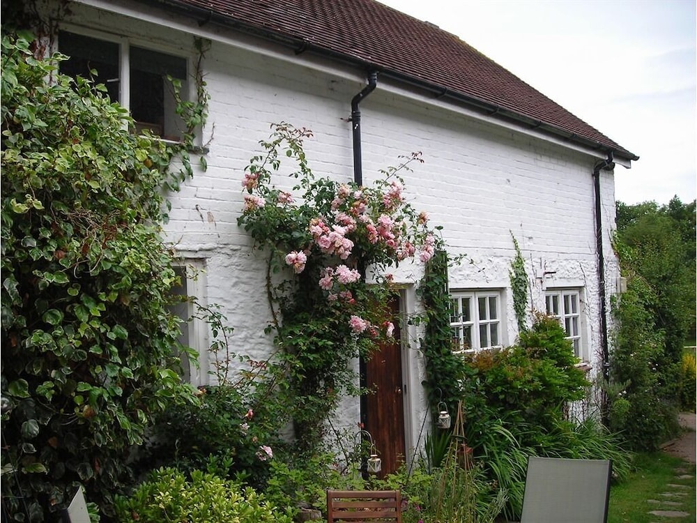 Photo 35