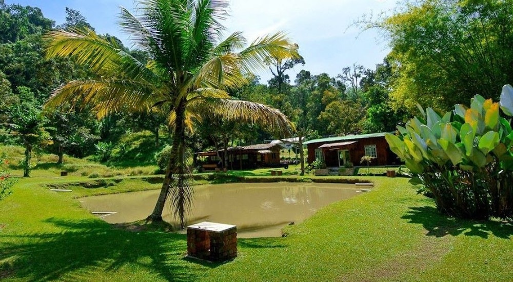 My Gopeng Resort