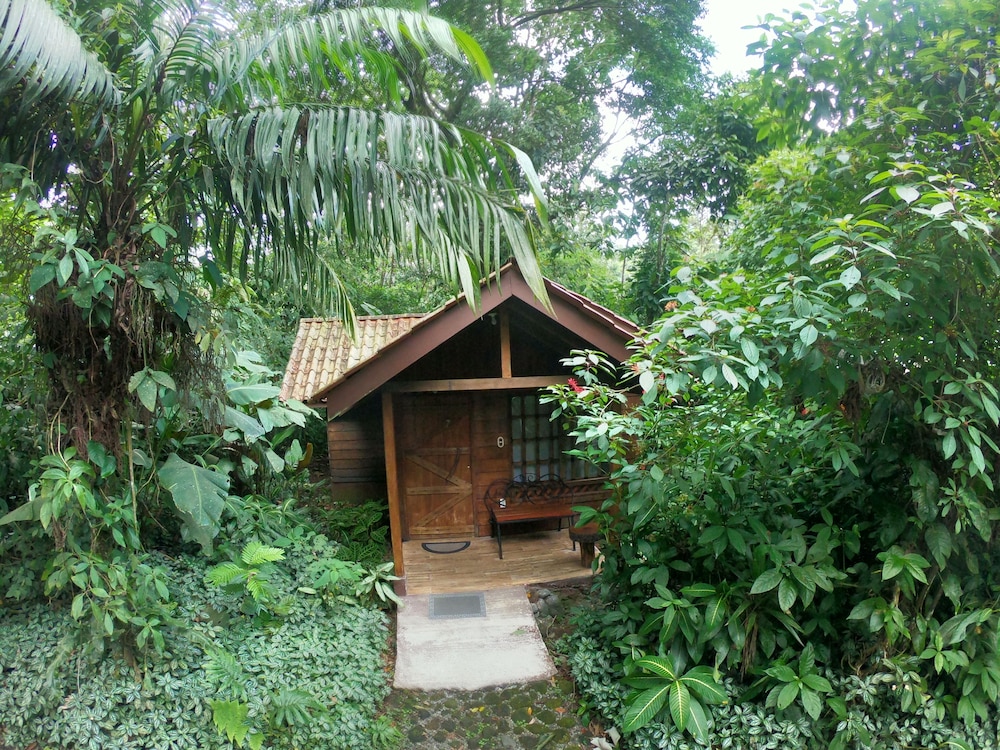 Arenal Oasis
