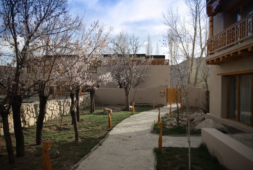 Photo 22