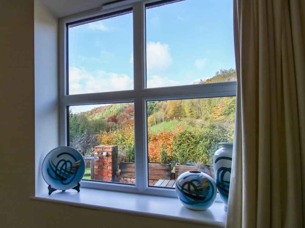Alyn View