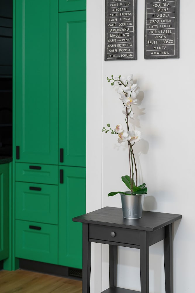 Black and Green Apartment by Renters view 3