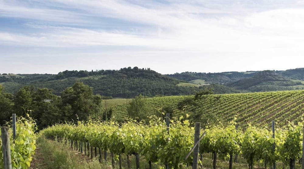 Agriturismo Pomonte