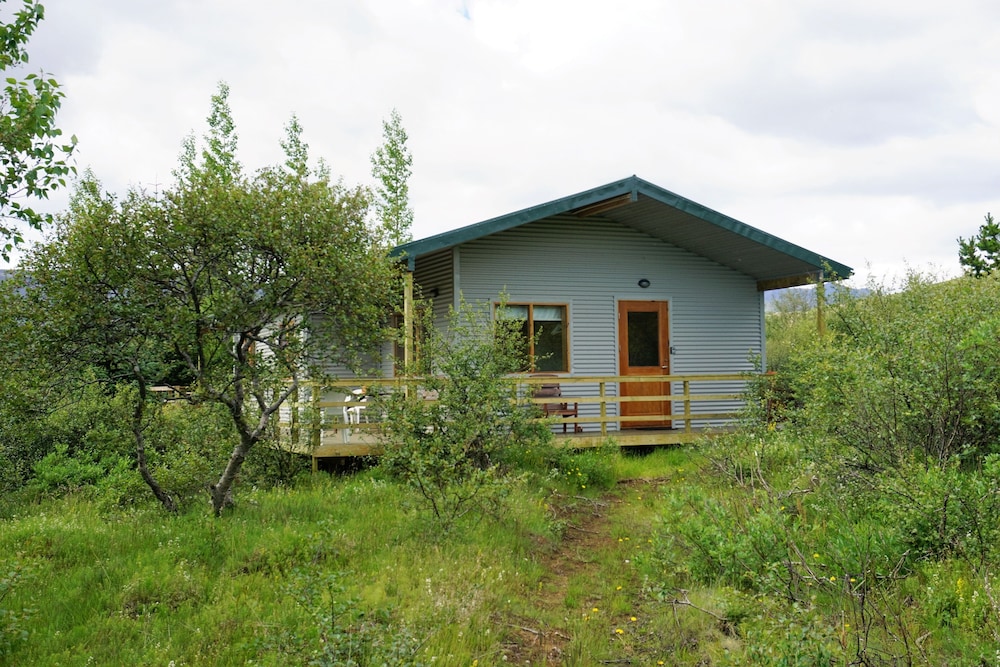 Photo 11