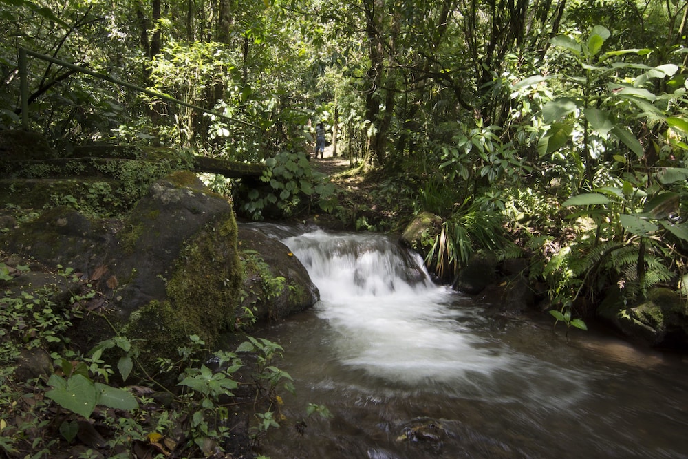 Bosque de Paz