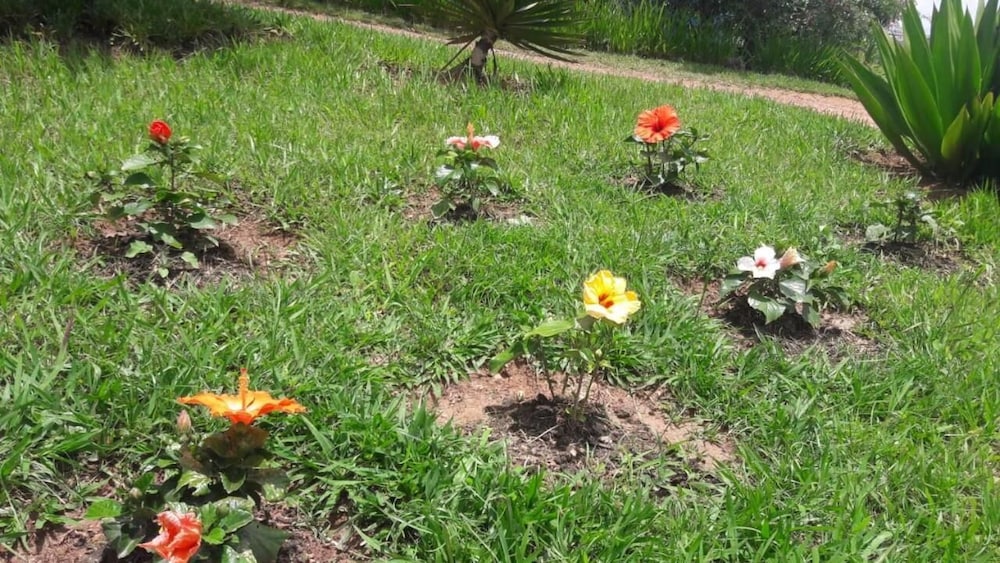 Photo 36