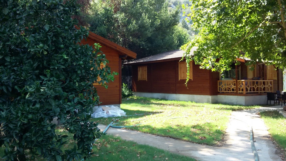 Maji Köyü - Image 39