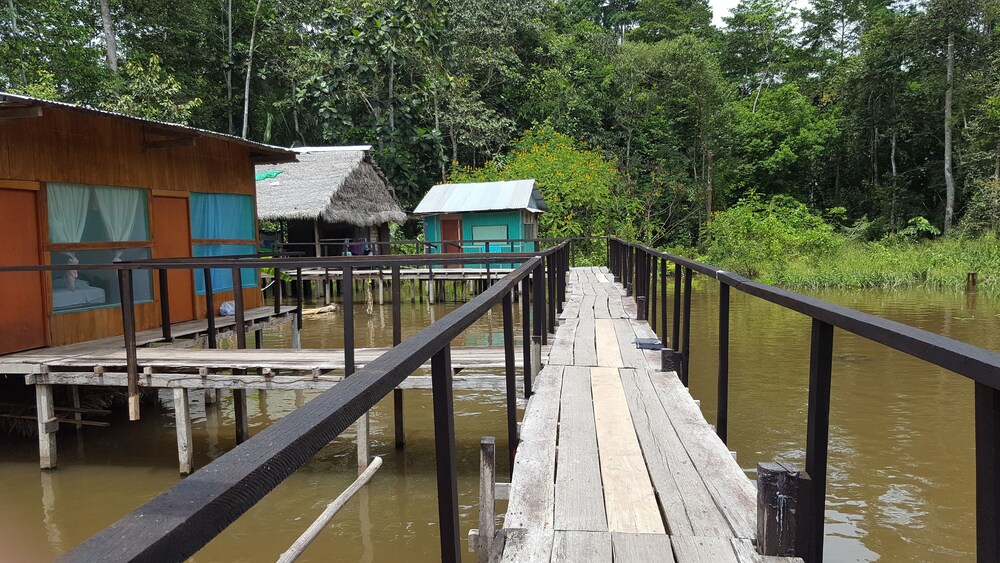 My Amazon Lodge