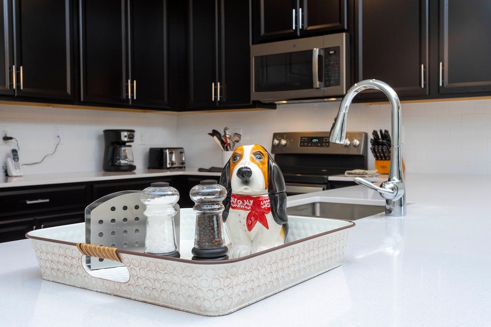 1133 DL - Chic Pet-friendly 3BR Townhome 8 Guests view 4
