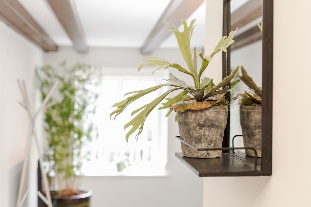 Canal Garden Apartment 11