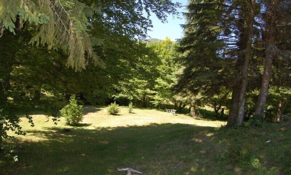 Photo 47