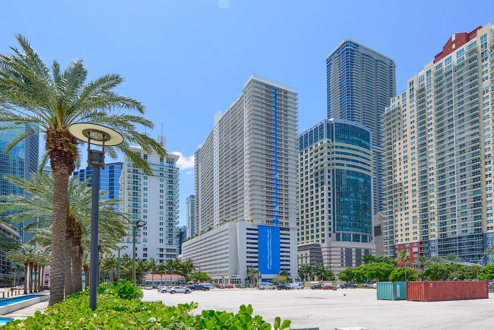 Well-Appointed Condos in Brickell