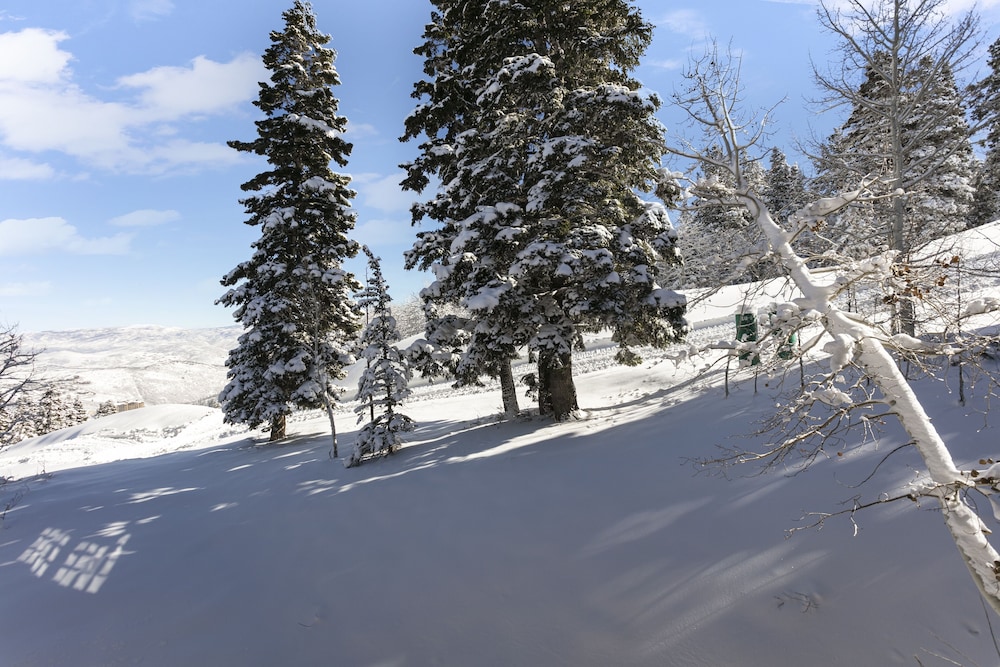 Stag Lodge at Deer Valley Resort - Four Bedroom with Spa #30 4 Condo