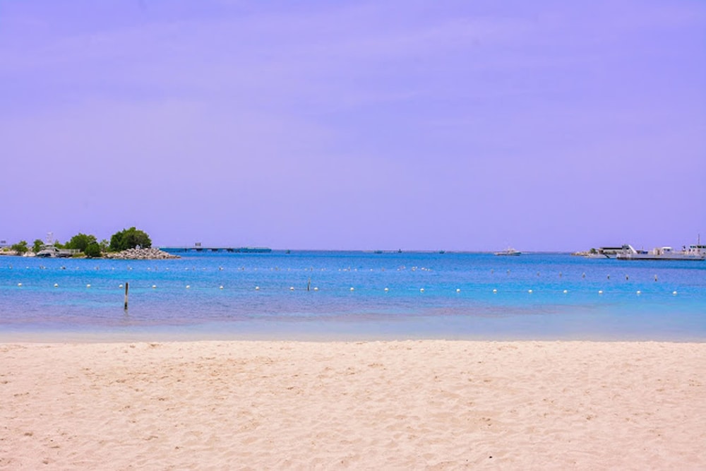 Sea Bird Beach Studio at Sandcastles Resort