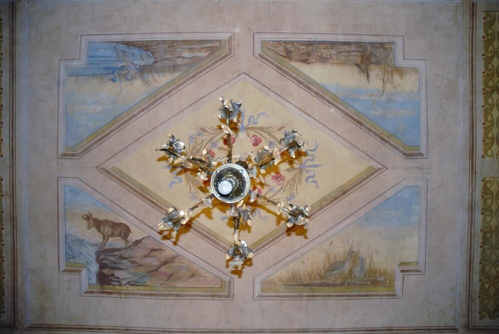 Photo 22
