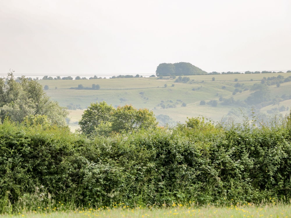 Ridgeway