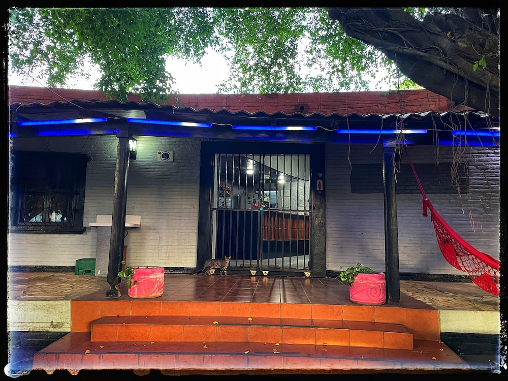 Oasis Hostel