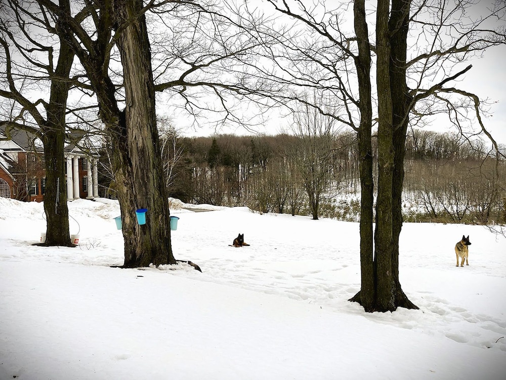 Caledon Manor and Country Inn