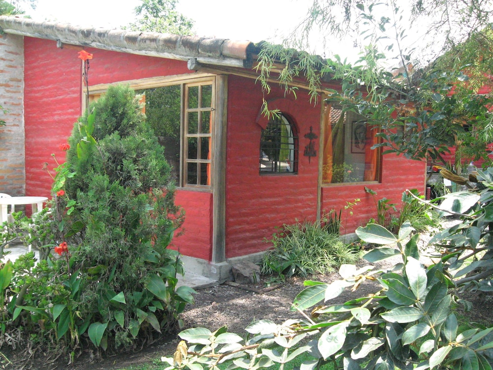Arie s Cabin