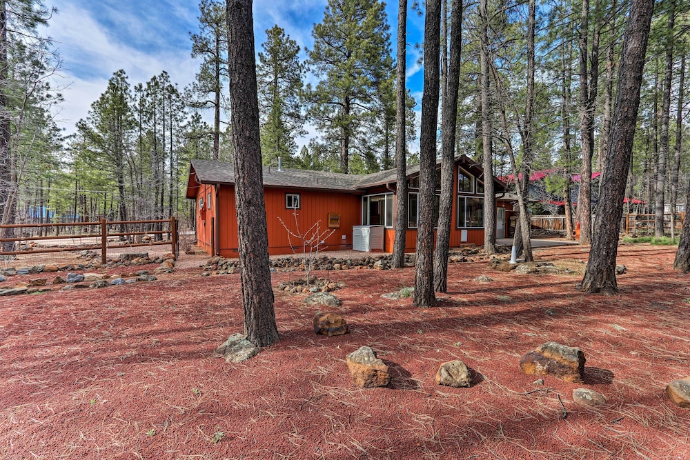 Peaceful Mountain Getaway in the Pines! view 2