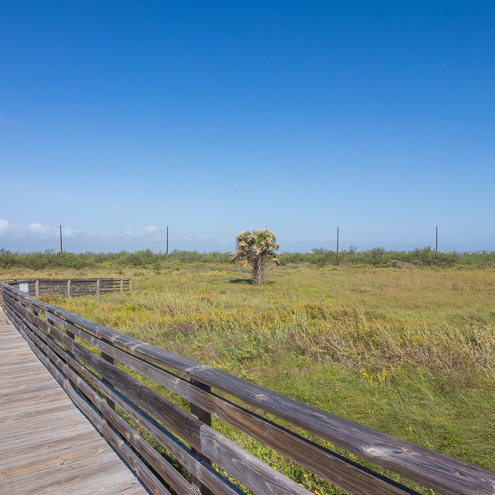 Gulf Adventures and Beachfront Relaxation Awaits