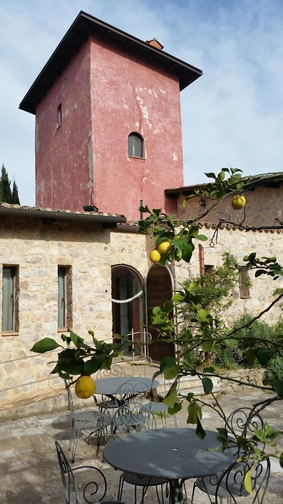 Photo 26