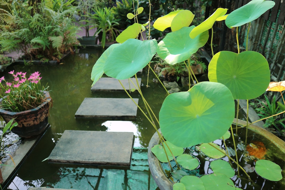 Old Khmer House