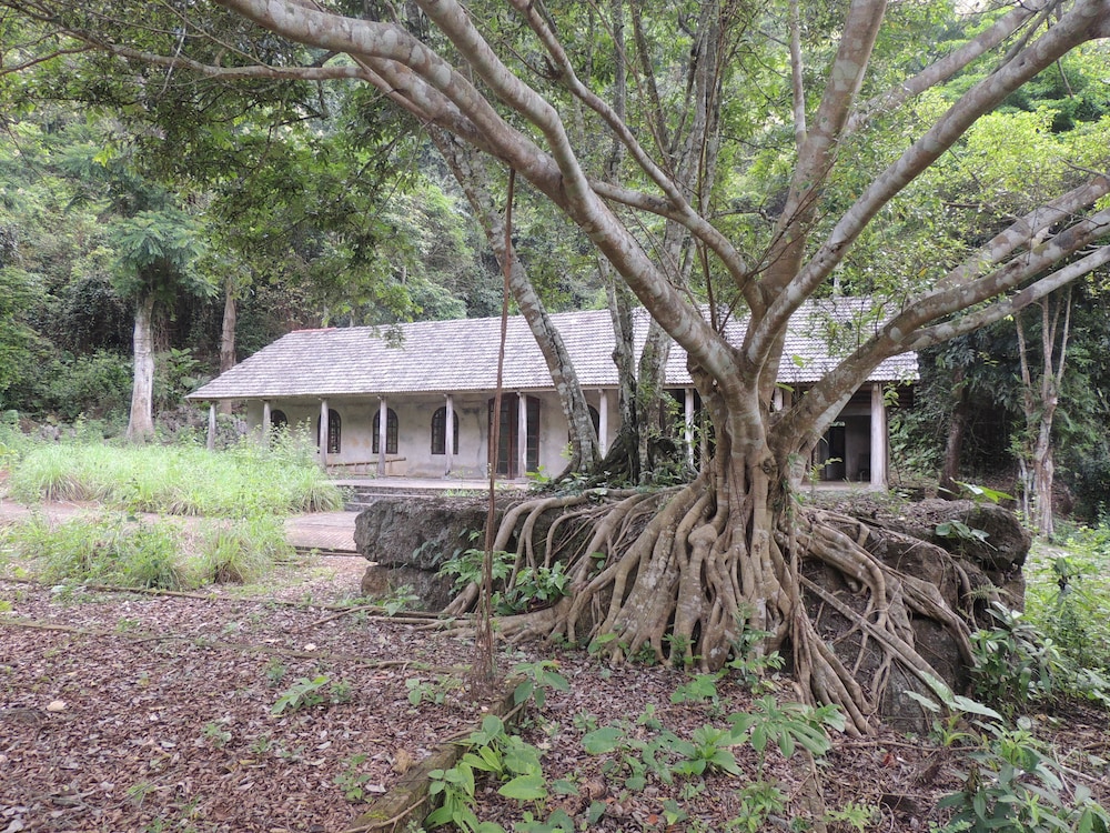 The Ancient House