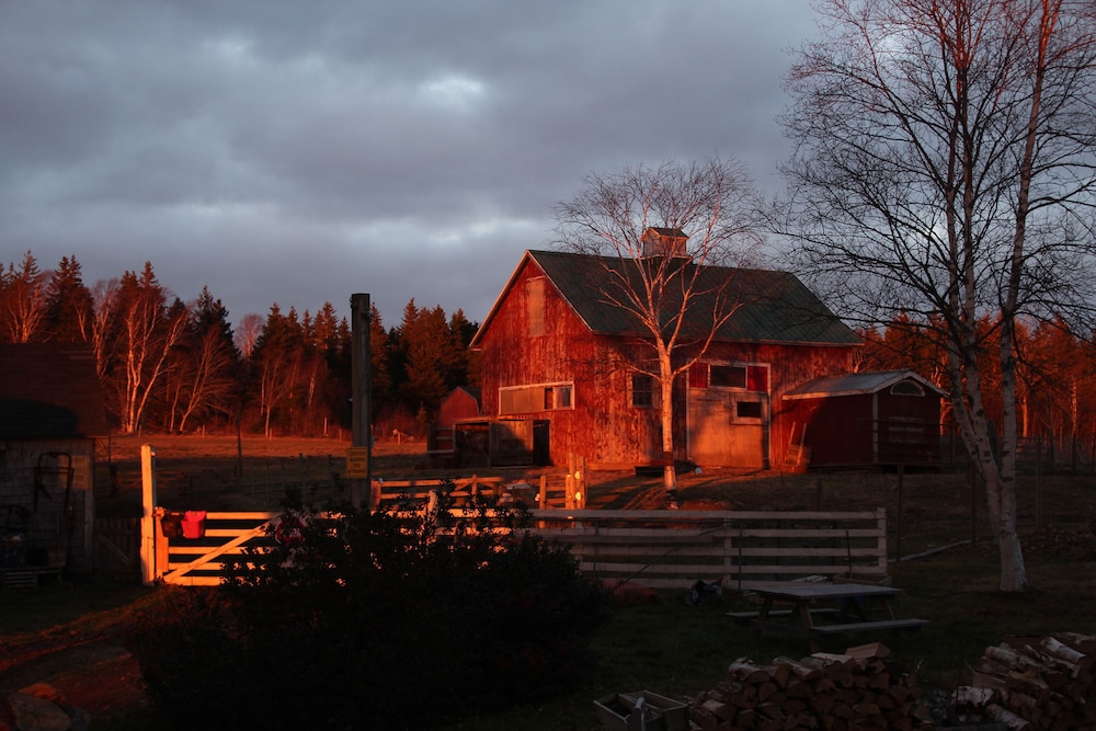 Seaweed and Sod Farm Bed & Breakfast