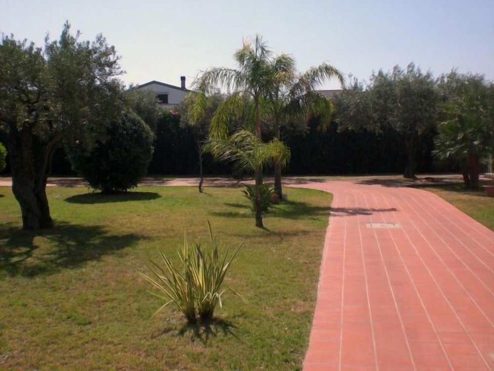 Photo 21