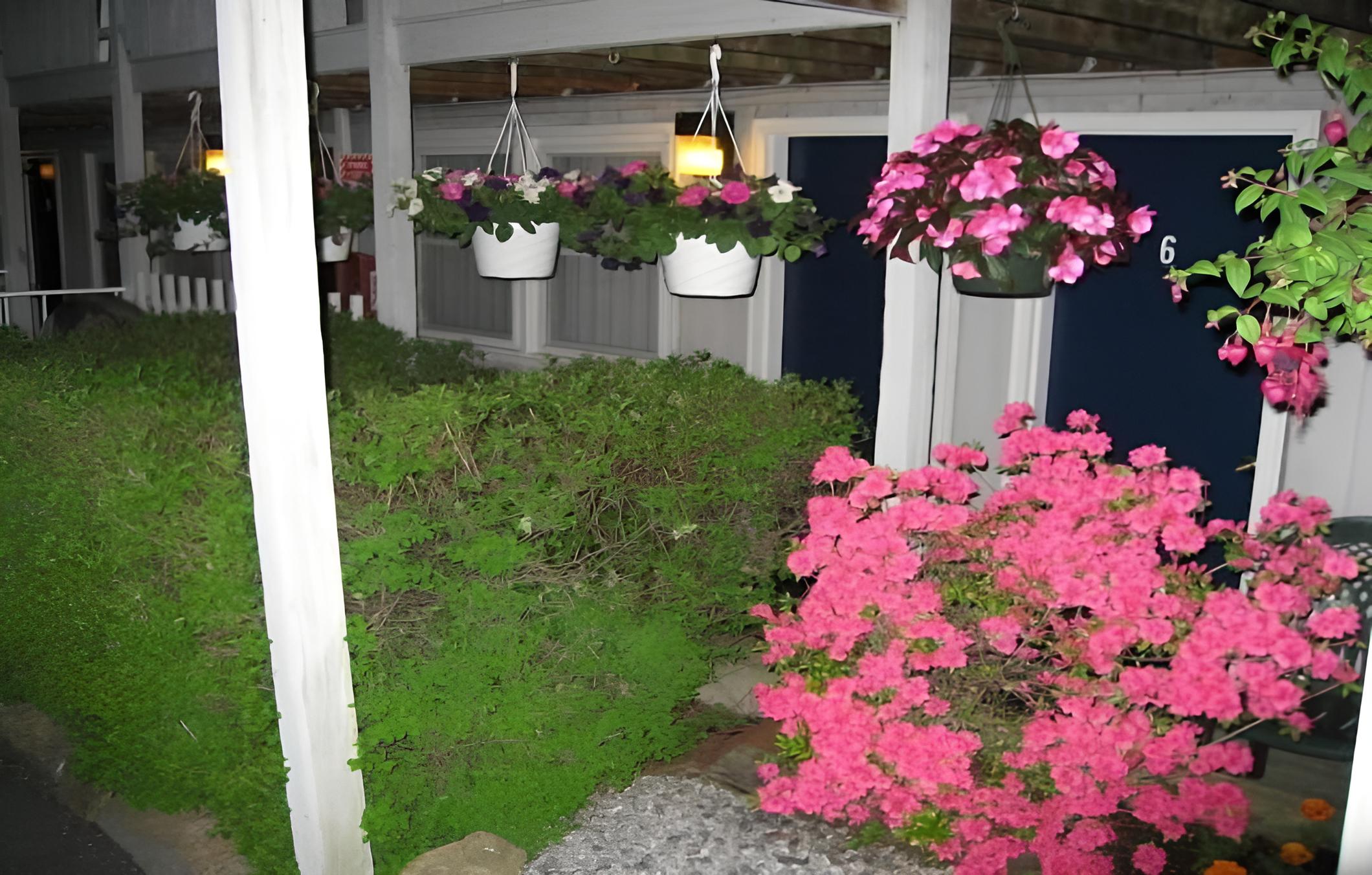 Sea Whale Motel - Property Image 52