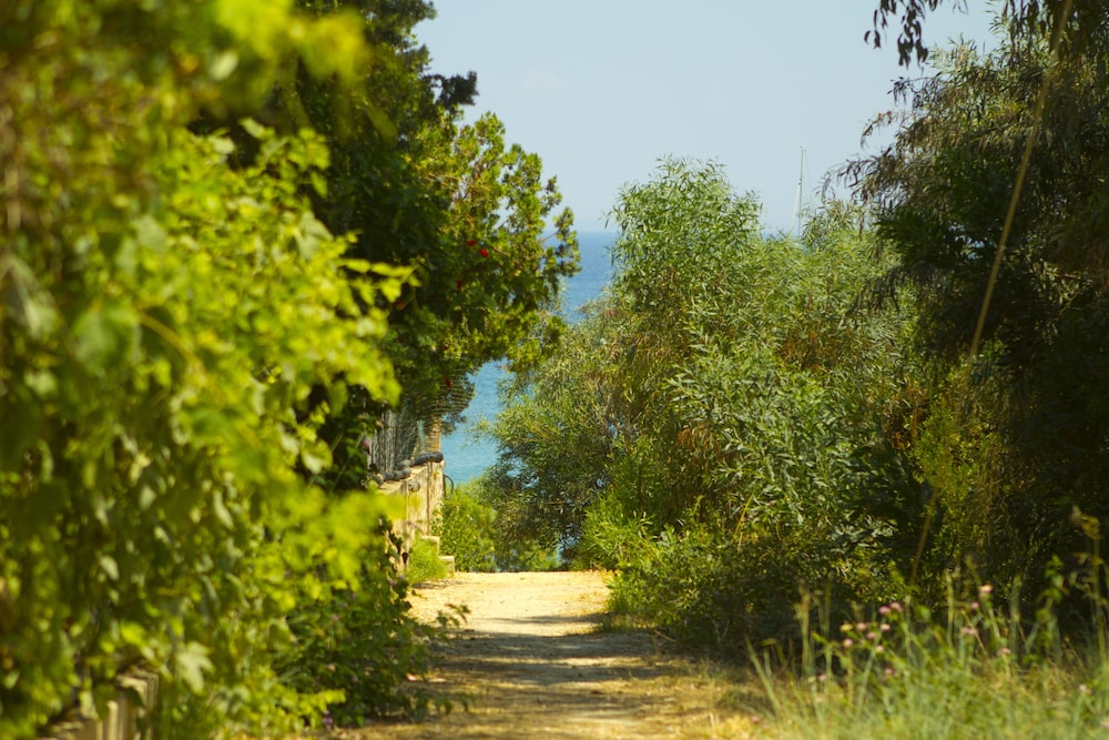 Photo 44