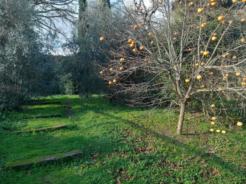 Agriturismo Il Sentiero
