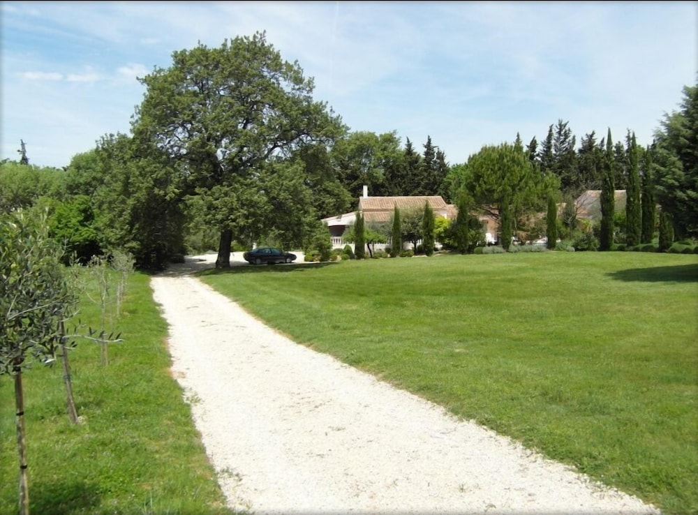 Photo 8