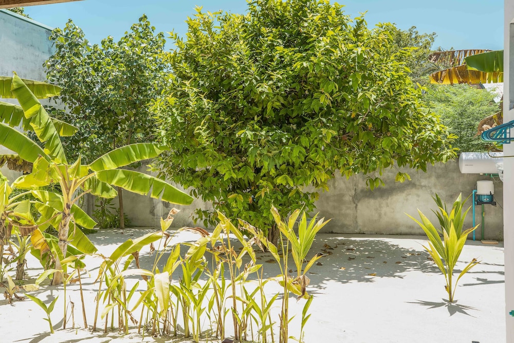 Royal Inn Rasdhoo