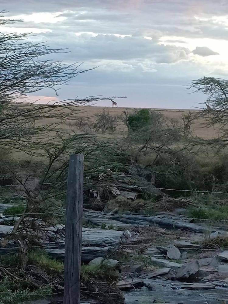Mara Duma Bush Camp