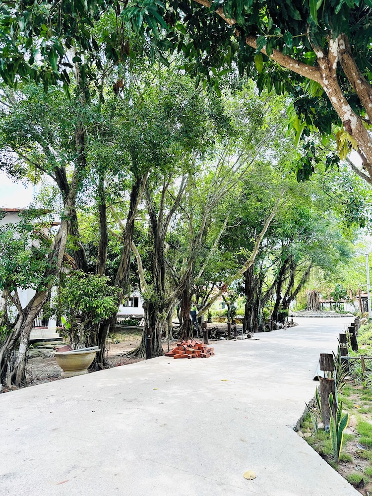 Hang Sói Forest Village