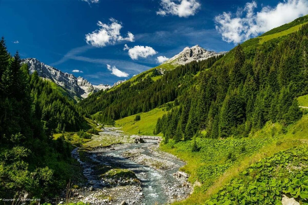 Gastbetrieb Alpenhof