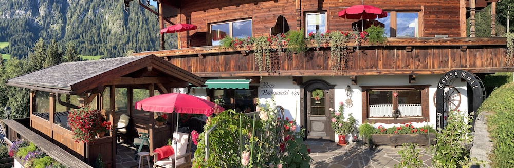 Alpbach Bergwald