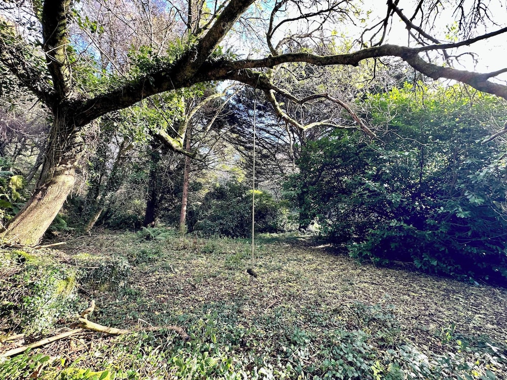 Harvey's House