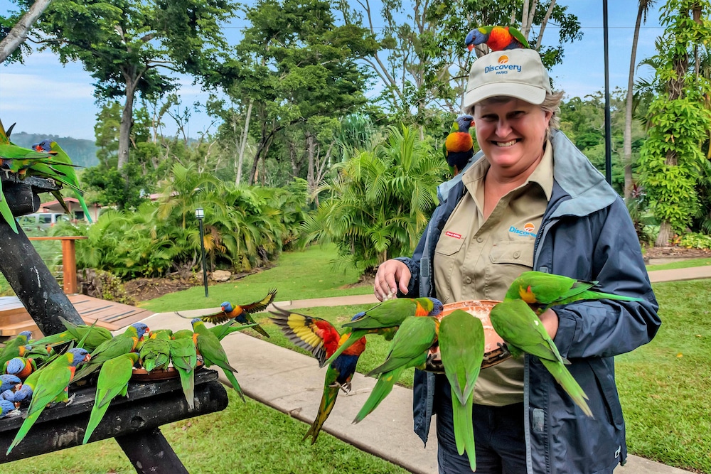 Discovery Parks - Airlie Beach — photo 21