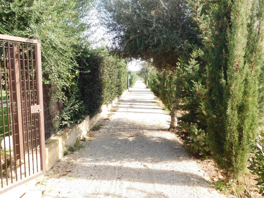 Alimede Ecodimora