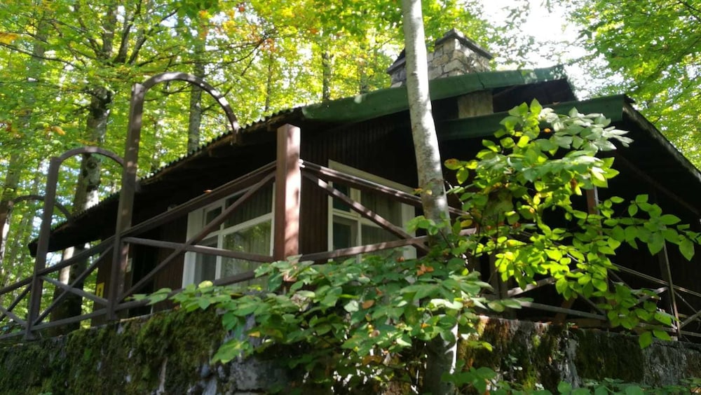 Photo 25
