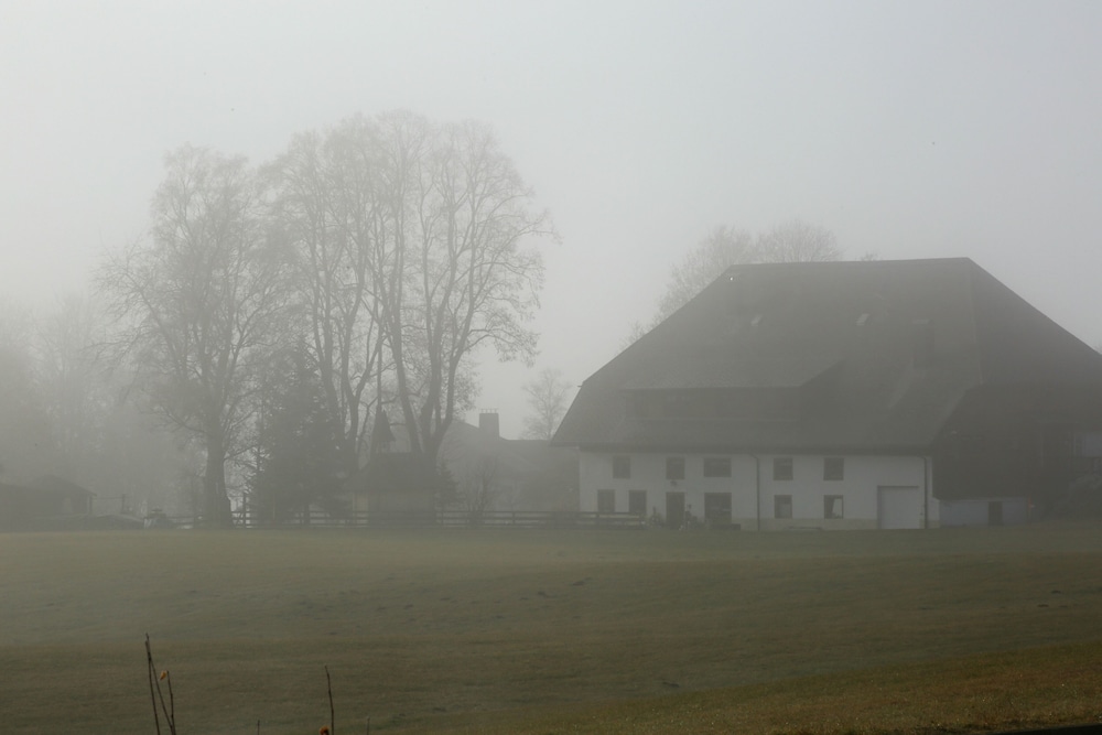 Gästehaus Birke
