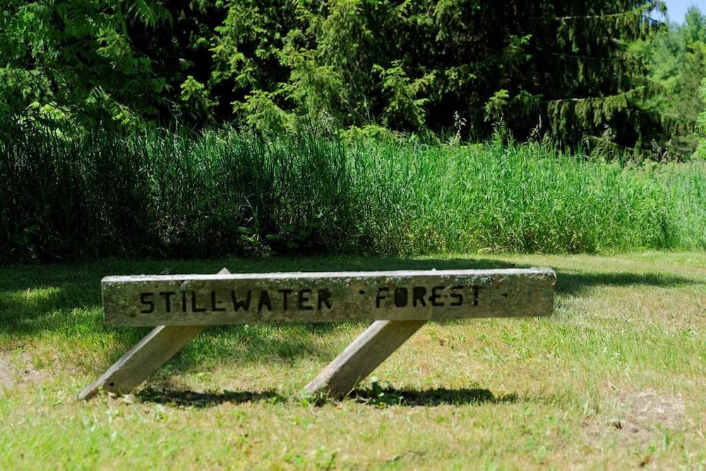 Welcome to Black River - Nature Lovers Paradise